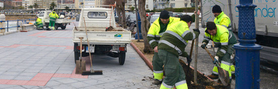 Comienza la reposición de más de 500 árboles en Santander